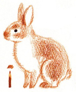 рисуем кролика поэтапно карандашом