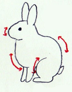 рисуем кролика