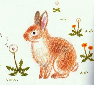 Как нарисовать кролика карандашом