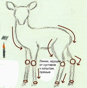 как нарисовать оленя