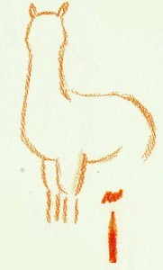 передние ноги альпака