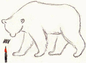 как нарисовать белого медведя карандашом поэтапно 