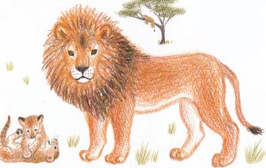 Как нарисовать льва карандашом