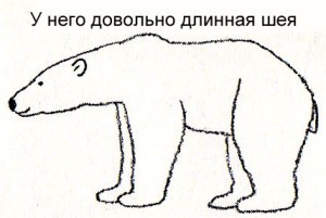 нарисовать белого медведя