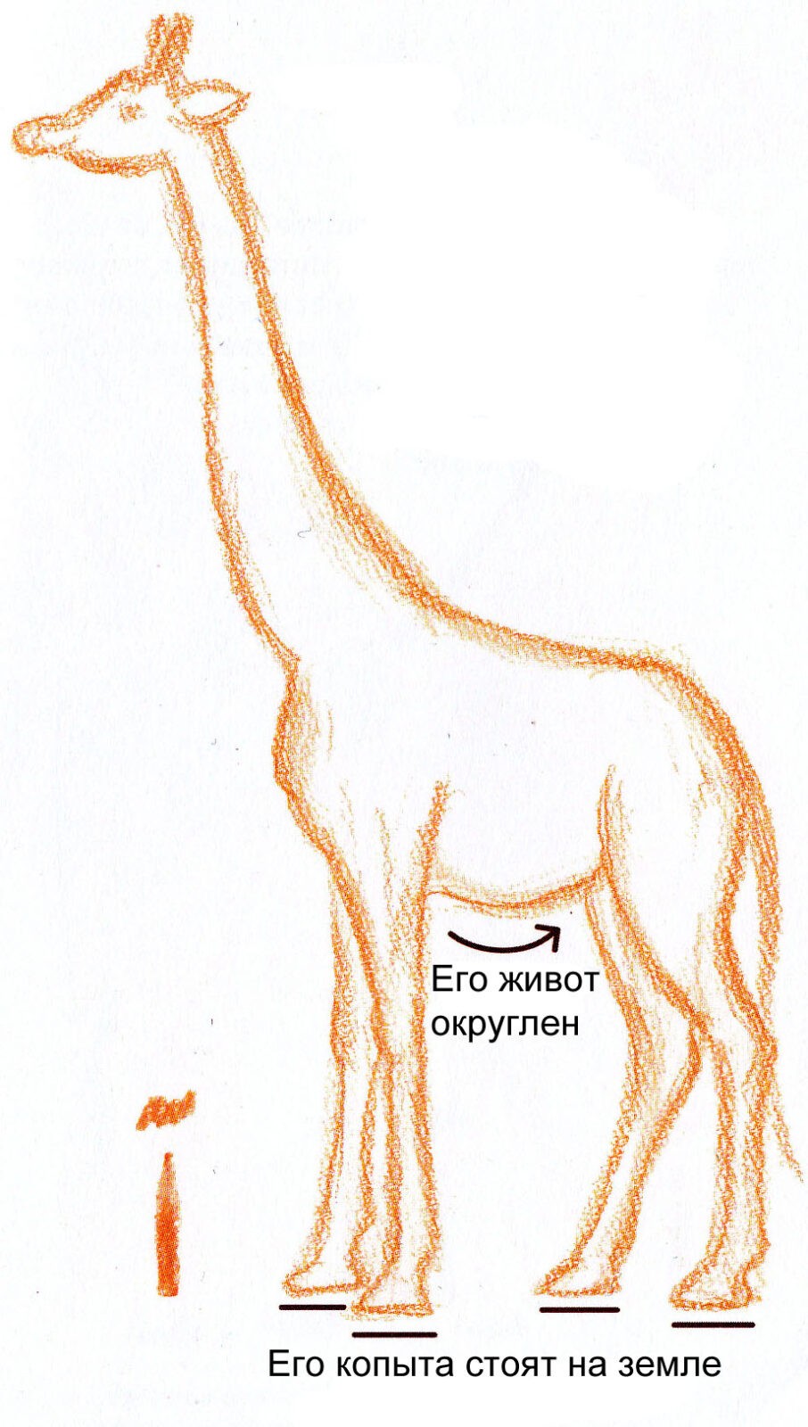 Пошаговое рисование жирафа