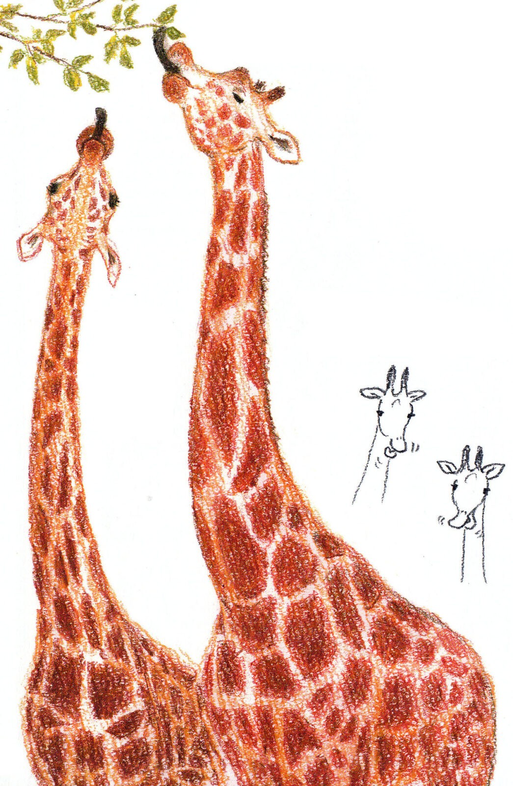 Жираф поэтапно для детей. Жираф рисунок. Жираф карандашом. Жираф карандашом для детей. Как нарисовать жирафа.