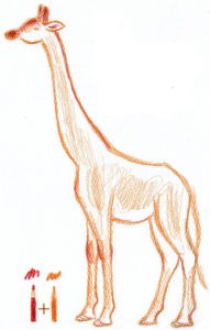 как нарисовать жирафу