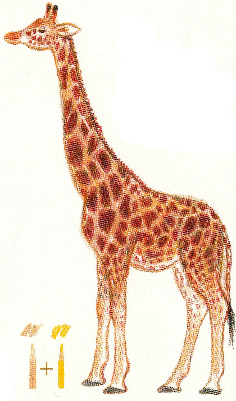 Срисовка жирафа