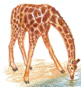 как нарисовать жирафа поэтапно +для детей