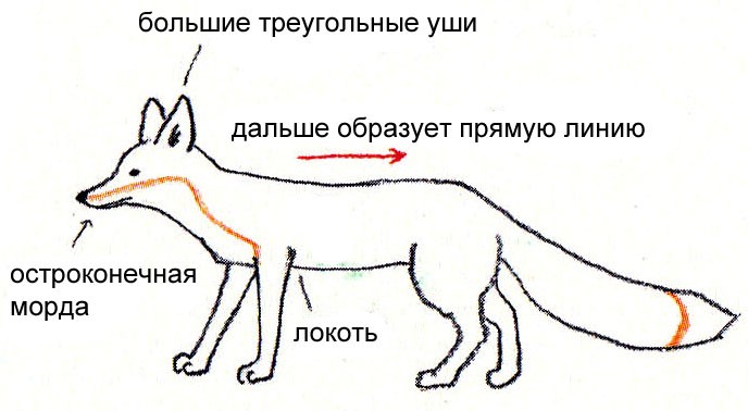 Схема плавной лисы