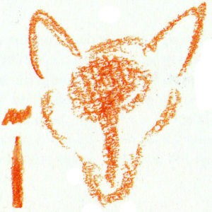 окраска головы лисы