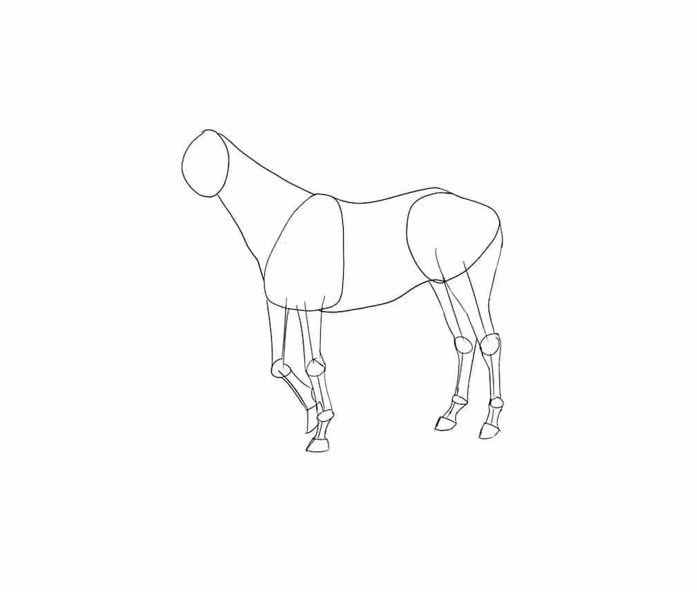 Лошадка 5 класс. Лошадь рисунок карандашом. Рисунок лошади карандашом в полный рост. Нарисовать лошадь карандашом ребенку. Лошадь в попоне рисунок.
