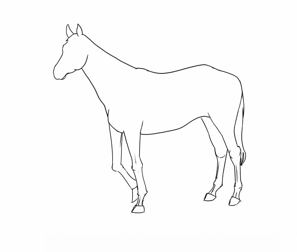 Лошадь для срисовки в полный рост