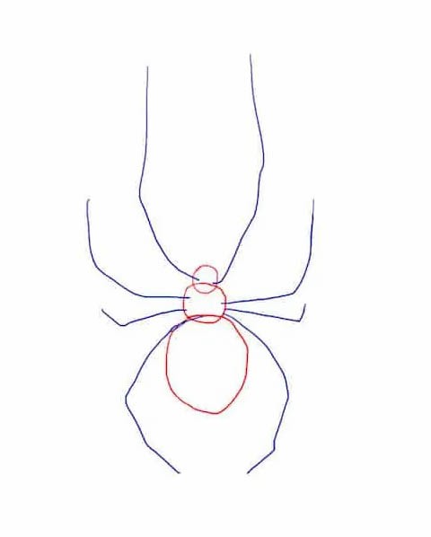 Как нарисовать паука
