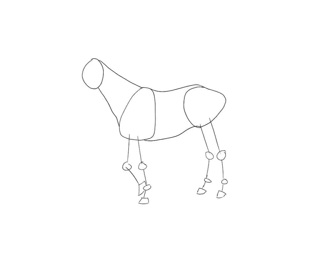 Рисовать лошадь карандашом поэтапно