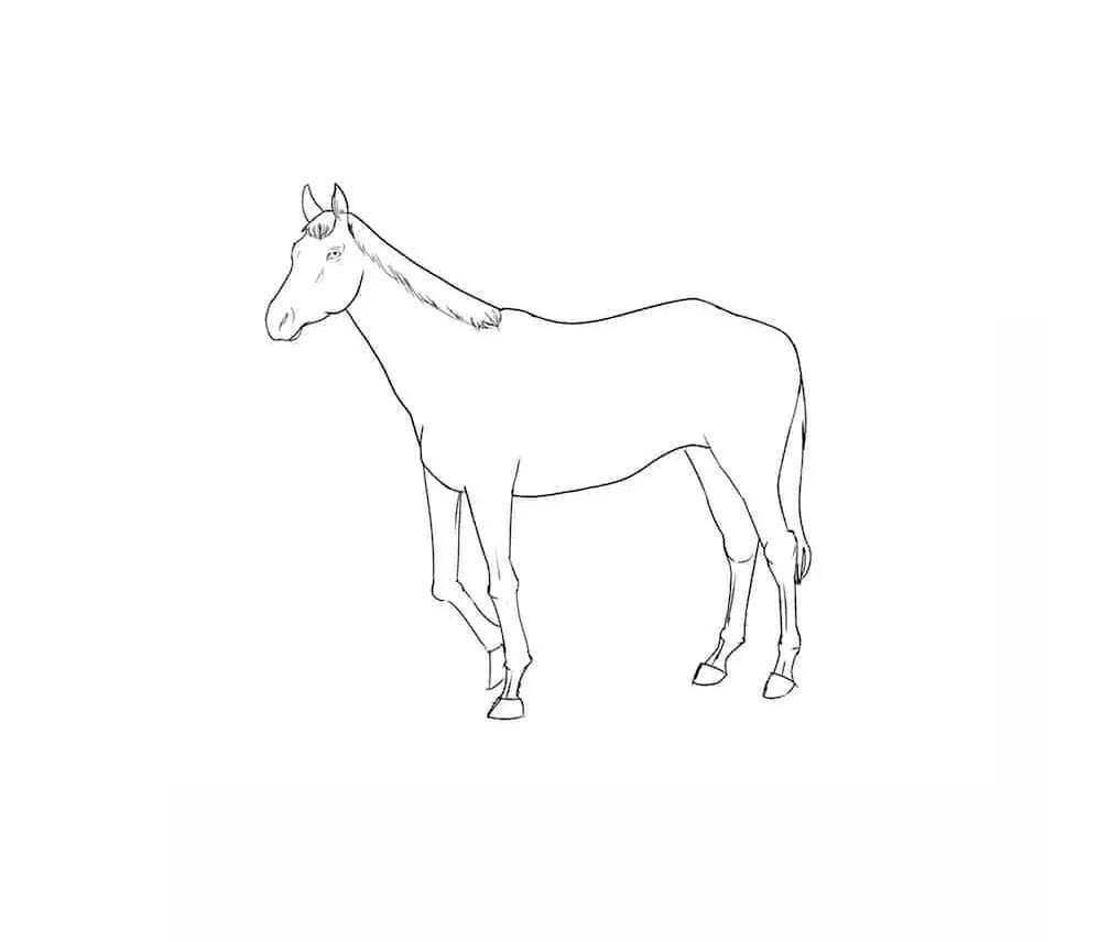 Рисовать лошадь карандашом поэтапно