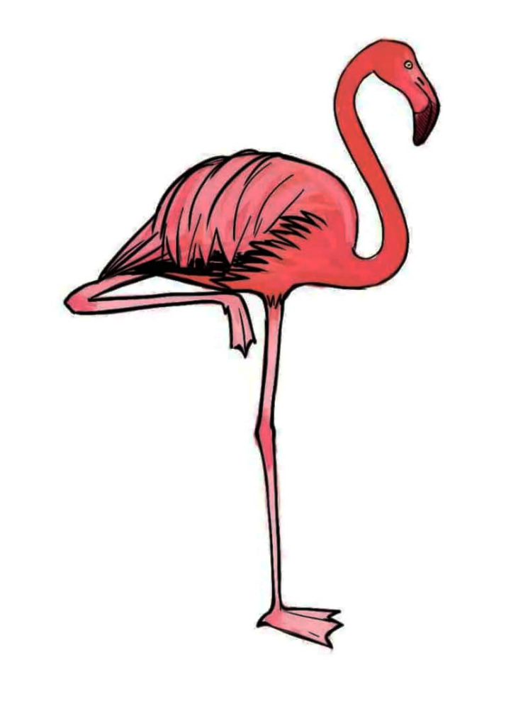 Как нарисовать фламинго