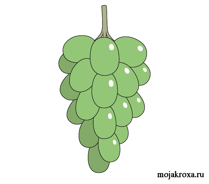 как нарисовать виноград для начинающих