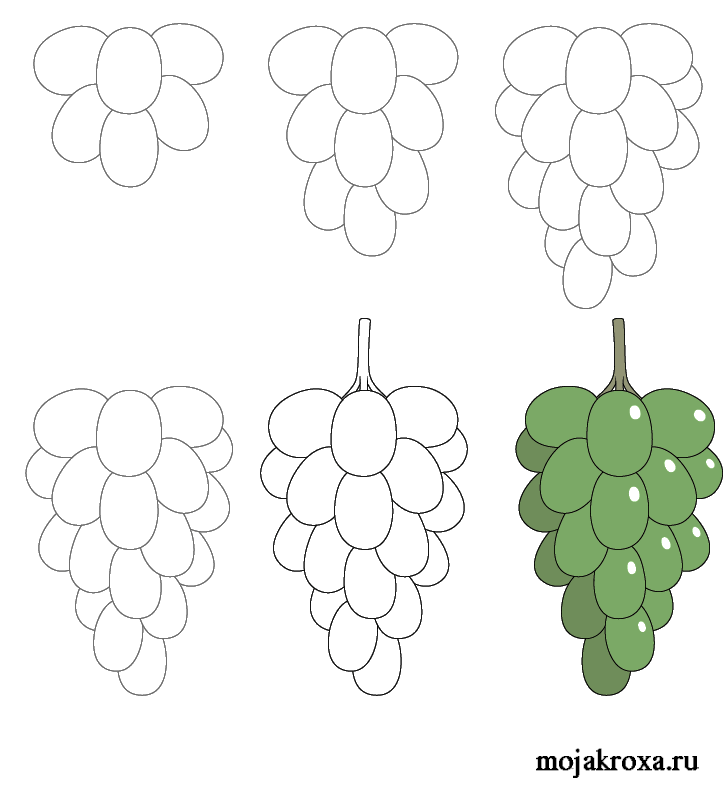 Как нарисовать виноград поэтапно