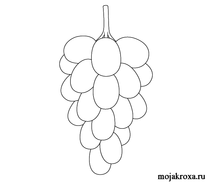 как нарисовать гроздь винограда