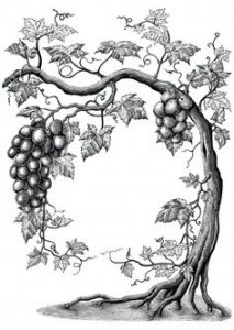Басня виноград